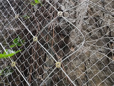 GAR1型主動防護網