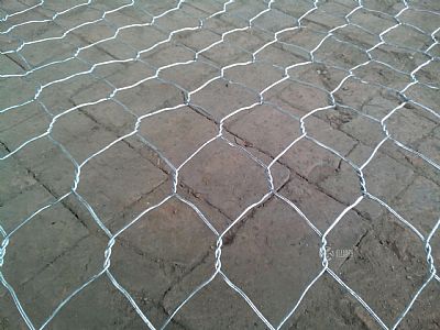 邢臺市水務(wù)局“四個(gè)聚焦”提升河道水生態(tài)環(huán)境